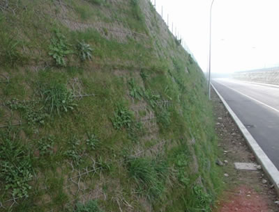 道路防护工程--石笼网