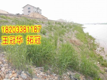 拓冠护坡格宾网